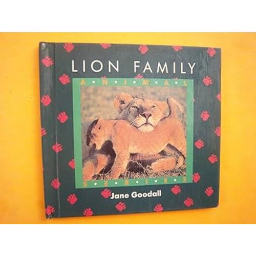 Lion Family