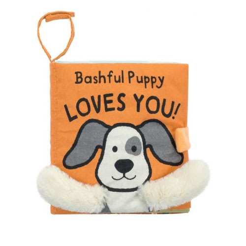 Loves You Cloth Book