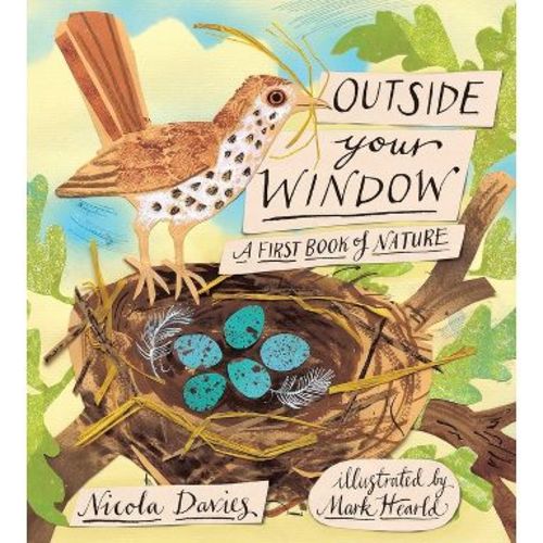 Outside Your Window - by Nicola Davies (Hardcover)