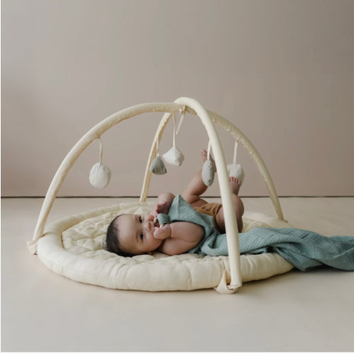 Play Gym