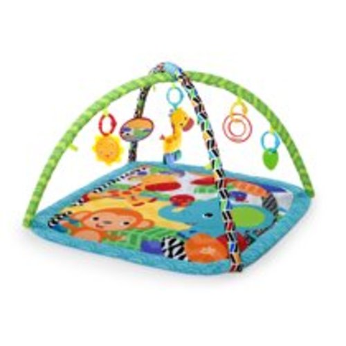 Bright Starts Zippy Zoo Activity Gym and Play Mat with Take-Along Toys, Ages Newborn +
