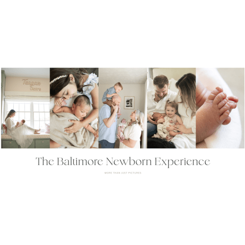 $350: Newborn Photo Shoot