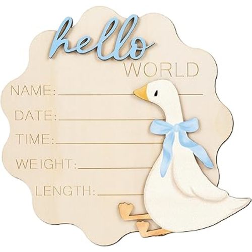 FYSUIMU Silly Goose Birth Announcement Sign Hello World Newborn Sign Blue Bow Goose Newborn Milestone Wooden Board for First Birthday Baby Shower Photo Prop Keepsake