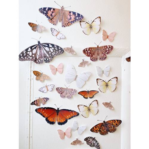 Woodland Paper Butterflies