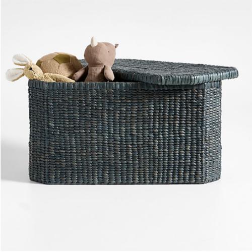 Rudy Rattan Blue Kids Toy Bin by Jake Arnold