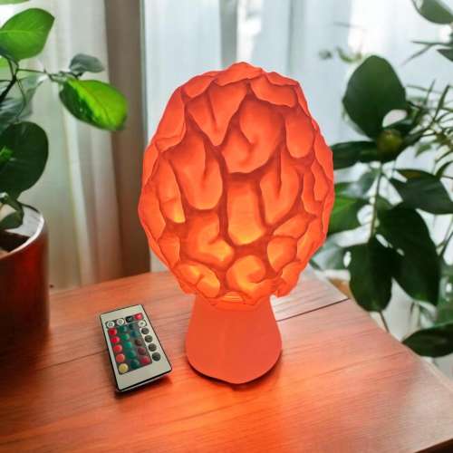 Mushroom Lamp - Morel Fungus Cozy USB 15-Color Table Lamp for Soft Lighting - Autumn Decor - Unique Mushroom Light Gift - Boho Aesthetic