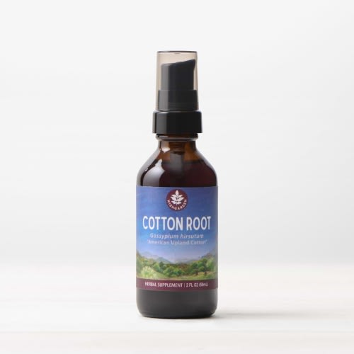 Cotton Root Liquid Tincture | Promotes Balanced Mood & Women’s Health
