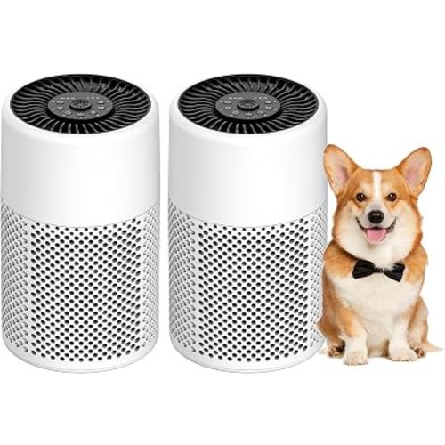 Air Purifiers for Bedroom, Dorm Room, True HEPA Filter for Smoke, White