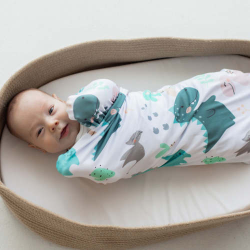 Blue Dino Baby Swaddle Blanket – Honey Lemonade