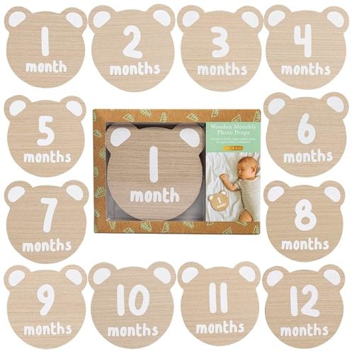 Kate & Milo Monthly Baby Milestone Photo Props, Teddy Bear Theme, Double-Sided Discs, Capture Every Month from 1-12