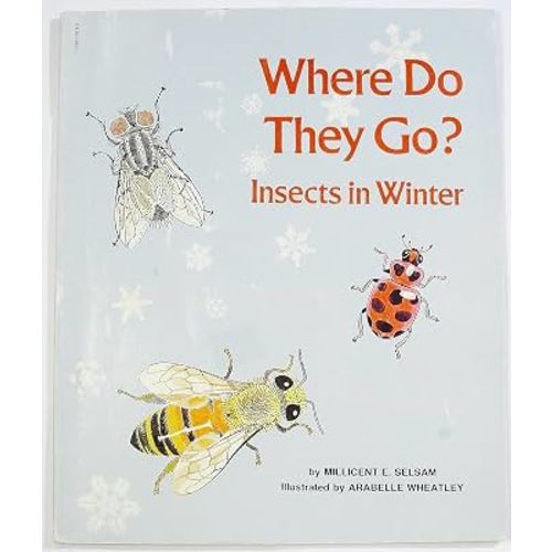 Where Do They Go