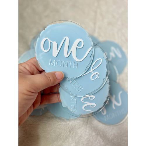 Acrylic Baby Monthly Milestone Set, Painted Acrylic Baby Gifts, Baby Monthly Milestone Discs, Acrylic Monthly Markers, Newborn Photo Props