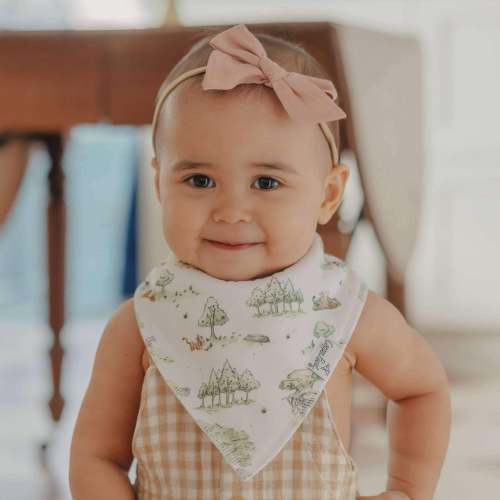 Baby Bandana Bibs - Hundred Acre Wood