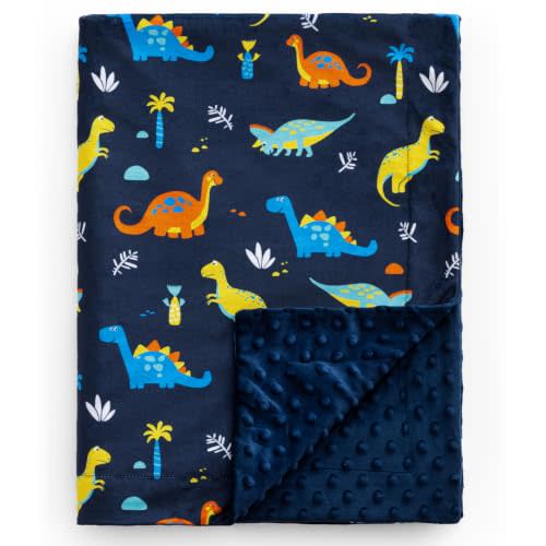 david's kids Micro Fleece Minky Baby Blanket for Boys with Double Layer and Soothing Raised Dots, Breathable and Soft Lightweight Receiving Blanket for Newborns, 40x50 Inches, Dinosaur