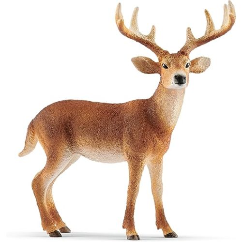 Schleich Wild Life - White-Tailed Buck Toy Figurine - Kids Ages 3+ | 14818