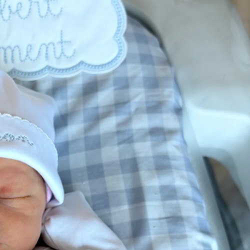 Hospital Bassinet Sheet in Little Blue Check