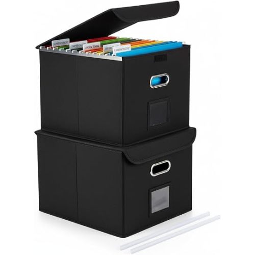 File Organizer Box with Lid (Black, 14.9 x 12.59 x 10.8 inch, 2-Pack)
