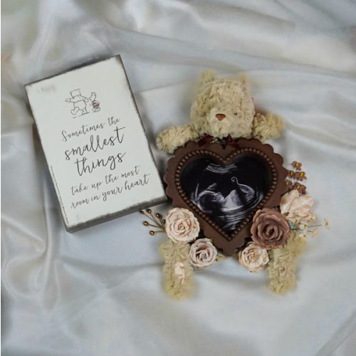 Edith Ramirez and Justin Delwiche’s Baby Registry at Babylist