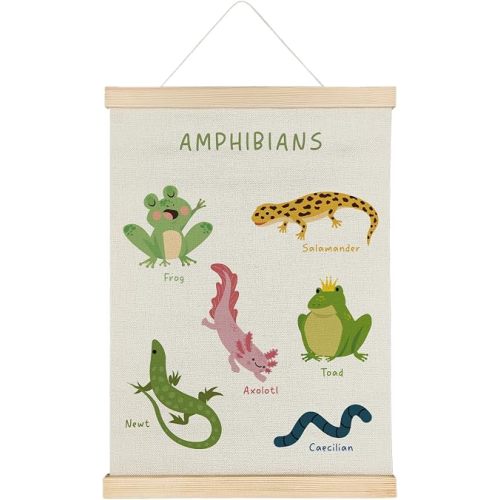 SereneHanctuary Amphibian Animal Wall Art, Animal Nursery Wall Decor, Boho Amphibians Educational Poster Hanger Frame for Toddler Kids Bedroom Nursery Playroom Classroom Decor, 12x16 Inches