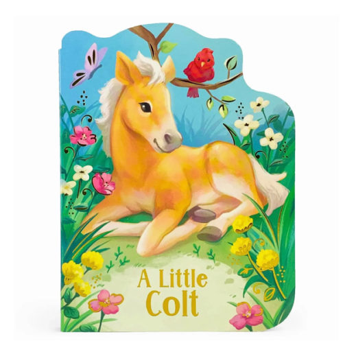 A Little Colt Book – Bridle Up Hope Shop