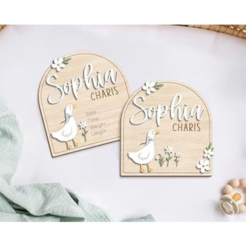 Silly Goose Birth Announcement Sign, Nameplate For Newborn, Birth Announcement Sign For Hospital, Goose Nursery Arrival Signs (Design 1)