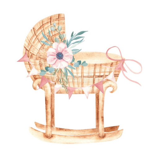 Secondhand Bassinet & Swing Fund