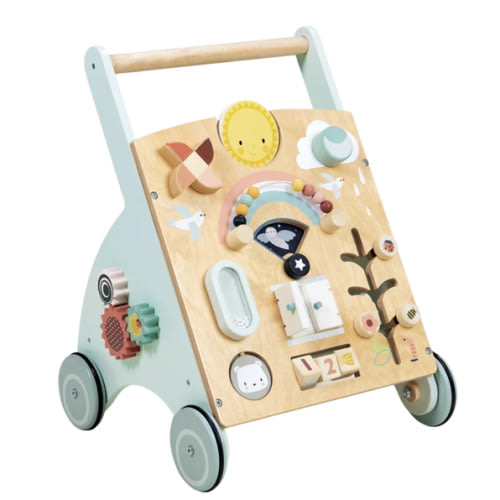 Sunshine Baby Activity Walker | Danrie