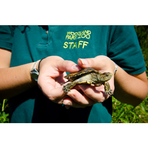 Family Passport Membership - Woodland Park Zoo
