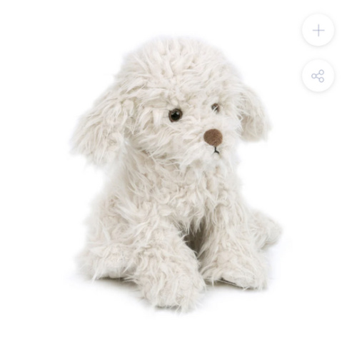Muffin The Shaggy Puppy