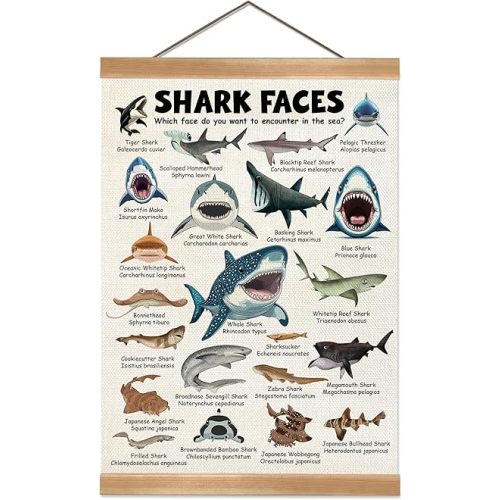 ZTGDA Shark Faces Posters, Sea Animals Sharks Posters Wall Art,Marine Sharks Decor,Ocean Educational Poster for Kid Classroom Decorations Kids Room Home Nursery Playroom (Shark face)