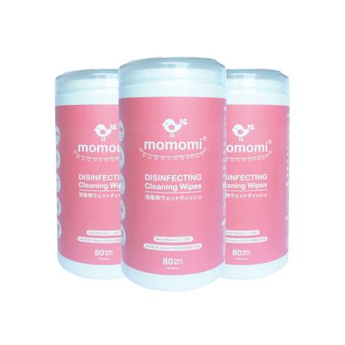 Disinfecting Cleaning Wipes (NEW!)