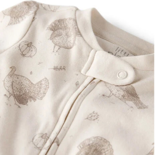 Baby Organic Cotton Sleep & Play Pajamas in Turkey Trot