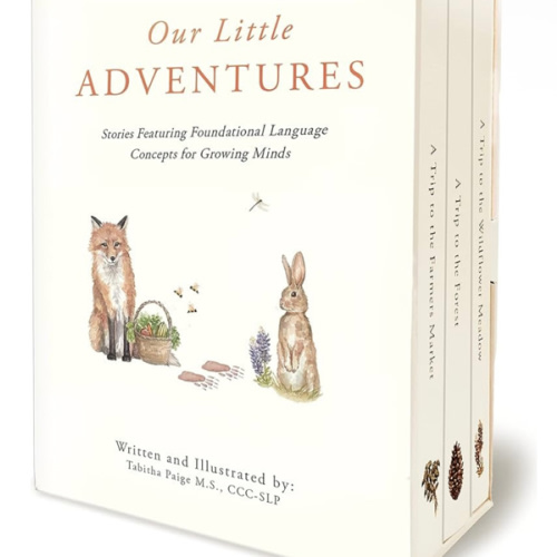 Our Little Adventures: Stories Featuring Foundational Language Concepts for Growing Minds (Tabitha Paige Children's Book Series)