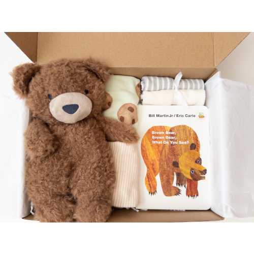 Gender neutral baby shower gift, gender neutral gift box, New baby gift basket, Neutral baby box, Bear Lovey toy, Bodysuits, board book