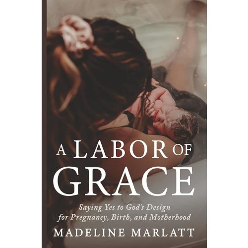 A Labor of Grace: Saying Yes to God's Design for Pregnancy, Birth, and Motherhood Paperback – March 24, 2026