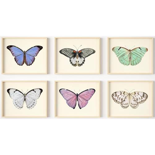Butterfly Wall Art - 5x7 - (Set of 6) - Unframed