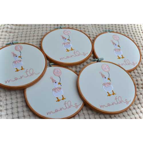 Goose Baby Monthly Milestone Embroidery Hoops, Embroidered Baby Milestone Hoops, Baby Monthly Milestone Goose Hoops, Monthly Baby Photo Prop