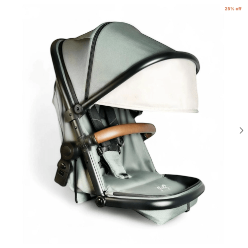 Piper Convertible Stroller 2-in-1 Toddler Seat + Bassinet | Aloe | Gladly Family