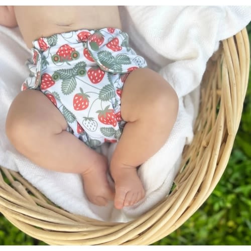 Organic Cloth Diaper Bundle Starter – Esembly (3 pack)