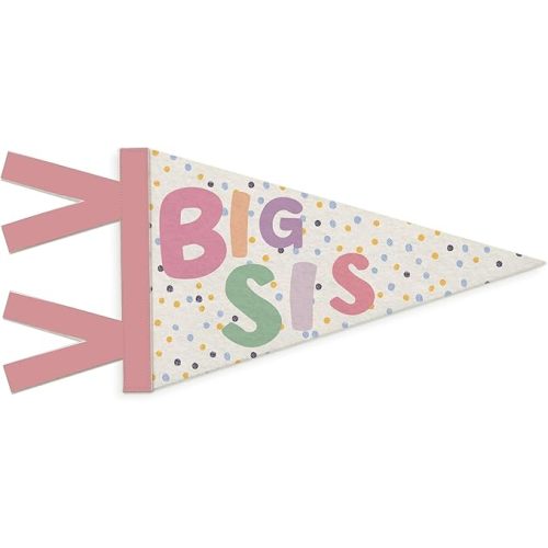 Girl Nursery Decor, Big Sister Wall Hanging Pennant Flag Banner, Boho Colorful Spot Wall Decorations for Twins Baby Little Girls Room Bedroom Playroom Decor