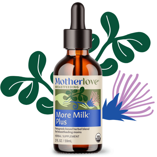 More Milk Plus® Tincture | Motherlove – Motherlove Herbal Company