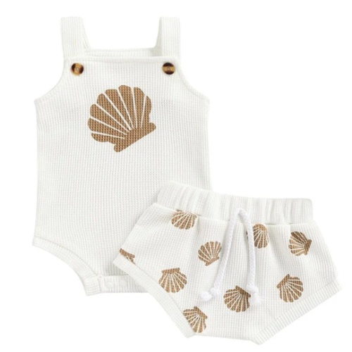 Seashell Set