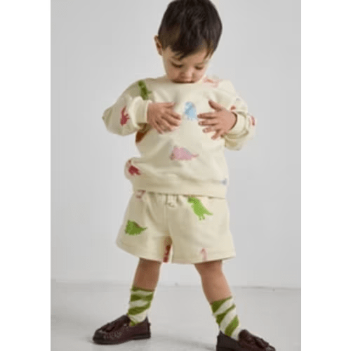 Dinosaur Terry Oversized Sweatshort Set