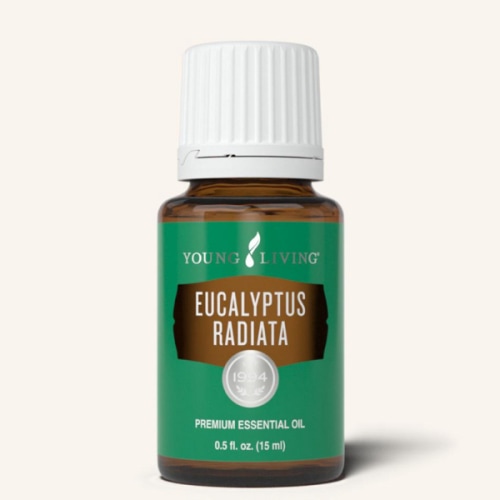 Eucalyptus Radiata Essential Oil