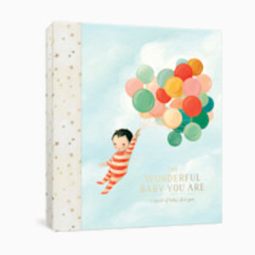 The Wonderful Baby You Are: A Record of Baby's First Year: Baby Memory Book with Milestone Stickers and Pockets