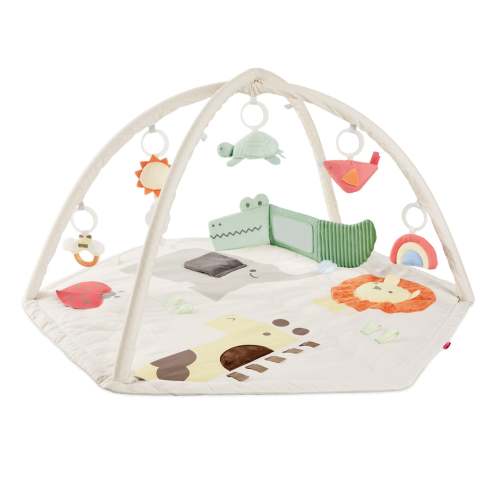 Geometric Wonders Activity Gym