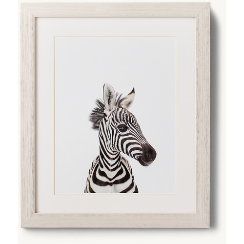 Baby Animal Close-Up Portrait - Zebra | RH Baby & Child