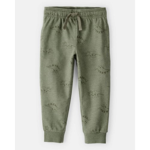 Toddler Boy Dinosaur French Terry Jogger - Green - Carter's | Carter's