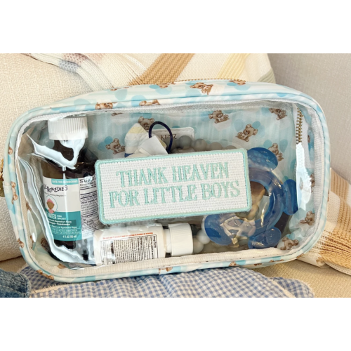 Diaper Bag Pouch- Baby Blue