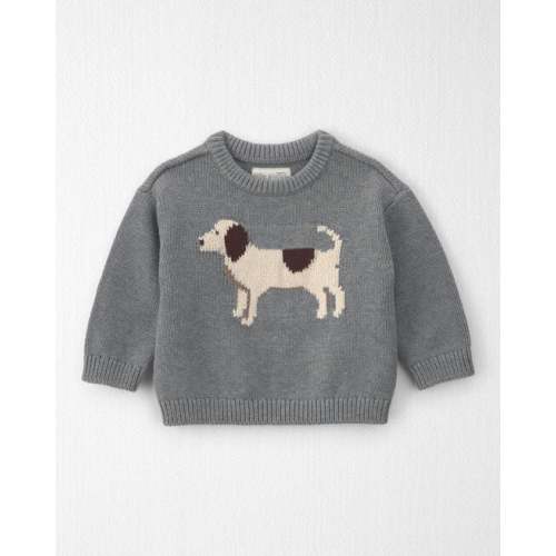 Baby Organic Cotton Dog Sweater Knit Pullover - Little Planet | Carter's